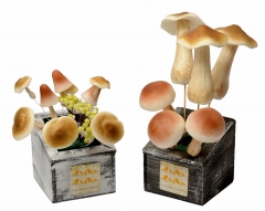 72 Dekorativne pečurke   